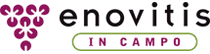 ENOVITIS IN CAMPO
