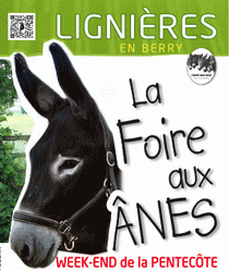 FOIRE AUX ÂNES ET AUX MULES DE LIGNIÈRES