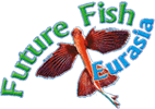 FUTURE FISH EURASIA