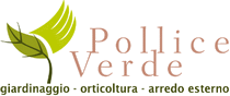 POLLICE VERDE - VICENZA