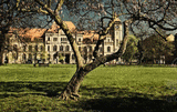 Dessau-Roßlau Stadtpark