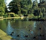 Bath &amp; West Showground